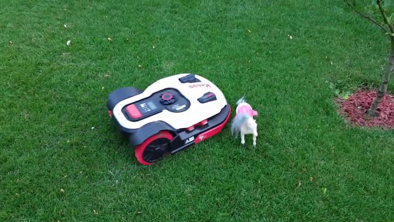 OAS System Kress.mp4