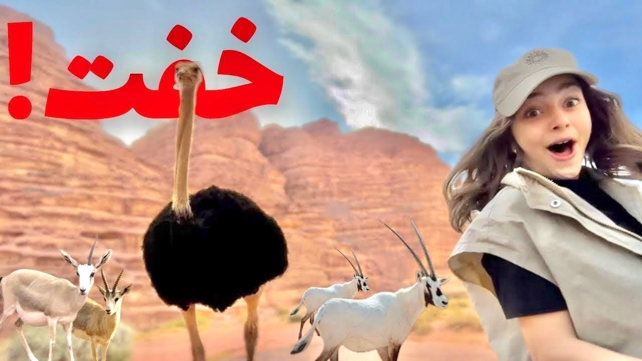 زرت محمية نيوم الطبيعية - بجدة 🤩