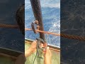 Quick Release knot