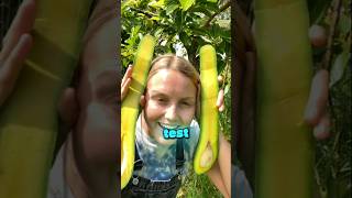 When You Pop The Stem Off An Avocado, The Color Underneath Tells You If It's Perfect🥑