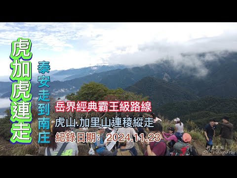 「虎加虎」,虎山、加里山連稜縱走,泰安到南庄,岳界經典霸王級路線,高低落差超過1600公尺,打通任督二脈-FP241,1