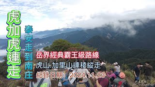 「虎加虎」,虎山、加里山連稜縱走,泰安到南庄,岳界經典霸王級路線,高低落差超過1600公尺,打通任督二脈-FP241,1