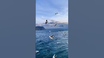 اكتب شيء تؤجر عليه🌿 الشيخ ياسر الدوسري في ما تيسر من سورة الاسراء #قرآن #سورة_الإسراء #ياسر_الدوسري