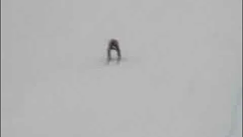 Bastien Montes, FIS WC SPEEDSKI, Sälen - Sweden 2008