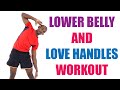 Lower Belly and Love Handles Workout/ 20 Minute Standing Midsection Workout