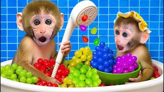 Bebe Mono BonBon Prepara Un Dulce Jugo De Sandía Y Construye Una Casa Nueva - MONO BONBON ESP