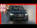 Mercedes GLE (2018) - Erste Fahrt im W167 Review | Test | Erste Fahrt mit Dennis Petermann