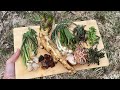 庭で採った山菜やキノコをふんだんに使って焼肉する 山ワサビ ノビル 菜の花 タンポポ ウスヒラタケ シイタケなど 山菜採り