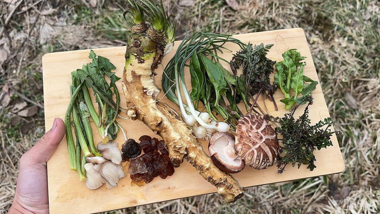 庭で採った山菜やキノコをふんだんに使って焼肉する　山ワサビ　ノビル　菜の花　タンポポ　ウスヒラタケ　シイタケなど　山菜採り