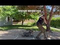 Auto down while focus heeling