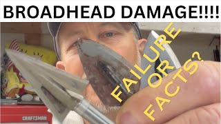 Broadhead Damage 3 different pig tests