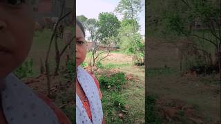 Jesus #Christian song# short video#shelpi jojo