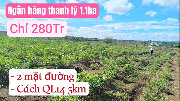 Bán đất rẫy giá rẻ, bất động sản đất nông nghiệp