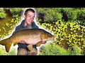 Carp Fishing on the River - an EPIC start to our fishing season!
