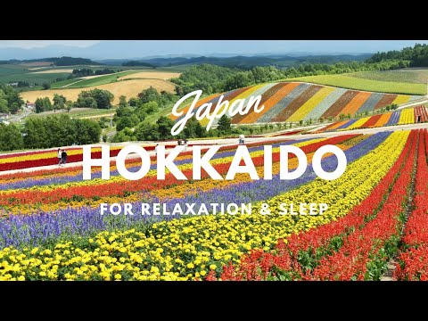 The Wonders of Hokkaido – A Journey Through Nature, History, and Food