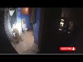 K9 Bites Wanted Suspect After Intense Police Standoff