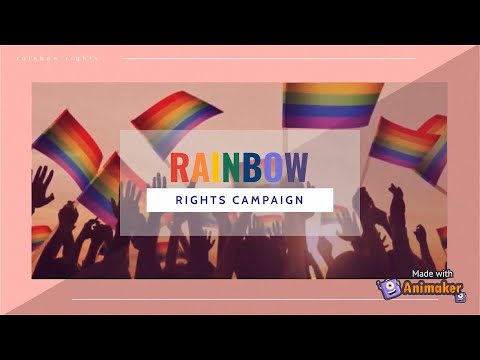 Videó: LGBT-embereket Támogató Vállalatok - Alternatív Nézet