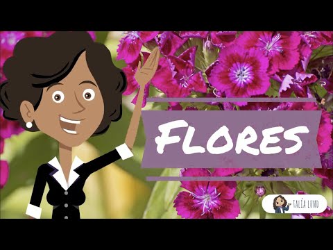 Video: Cómo obtienen las flores su color: la ciencia detrás del color de las flores en las plantas
