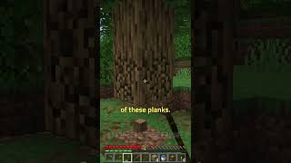 Why You Can't Craft a Boat in Minecraft 1.21 🚣