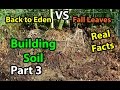 Back to Eden Organic Gardening 101 Method with Wood Chips VS Leaves Composting Garden Series  Part 3
