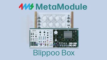 Blippoo Box patch with MetaModule