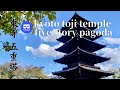 京都 東寺 五重塔と八重桜 Kyoto Toji Temple five-story pagoda and double cherry blossoms