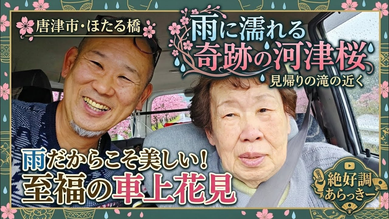 【佐賀県・唐津市】見帰りの滝の近くのほたる橋周辺に河津桜の花見に行きました！雨降りで母ちゃんは車内より花見！