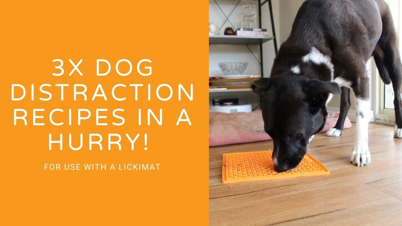 4 Best Lick Mats To Distract Your Dog (11 Tested & Reviewed