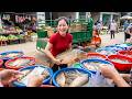 TIMELAPSE | Massive 1000+ Big Carp Harvest in Rice Fields | 3 Wheel Truck Loads Carp for Market Sale
