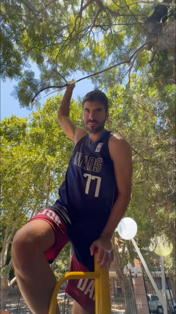 macho alfa de la plaza