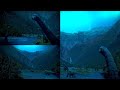 The Dinosaurs [2026] - Wintonpelta Screen Time