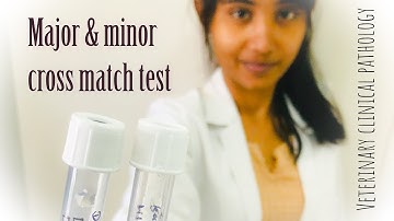Cross match test major and minor