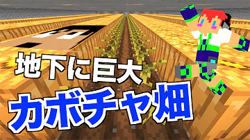 تحميل マイクラ かぼちゃ畑 تحميل マイクラ かぼちゃ畑