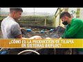 Como es la Produccion de Tilapia en los Sistemas Biofloc- TvAgro por Juan Gonzalo Angel Restrepo