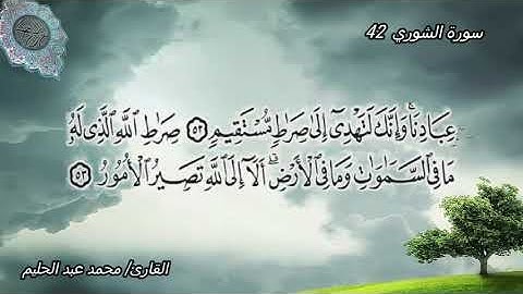 سورة الشوري 42| ضمن المصحف المرتل بصوت| محمد عبد الحليم