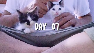 Day 07 by Akmal Bahtiar 29 views 1 month ago 3 minutes, 16 seconds