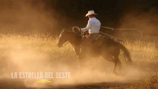 Starr Western Wear