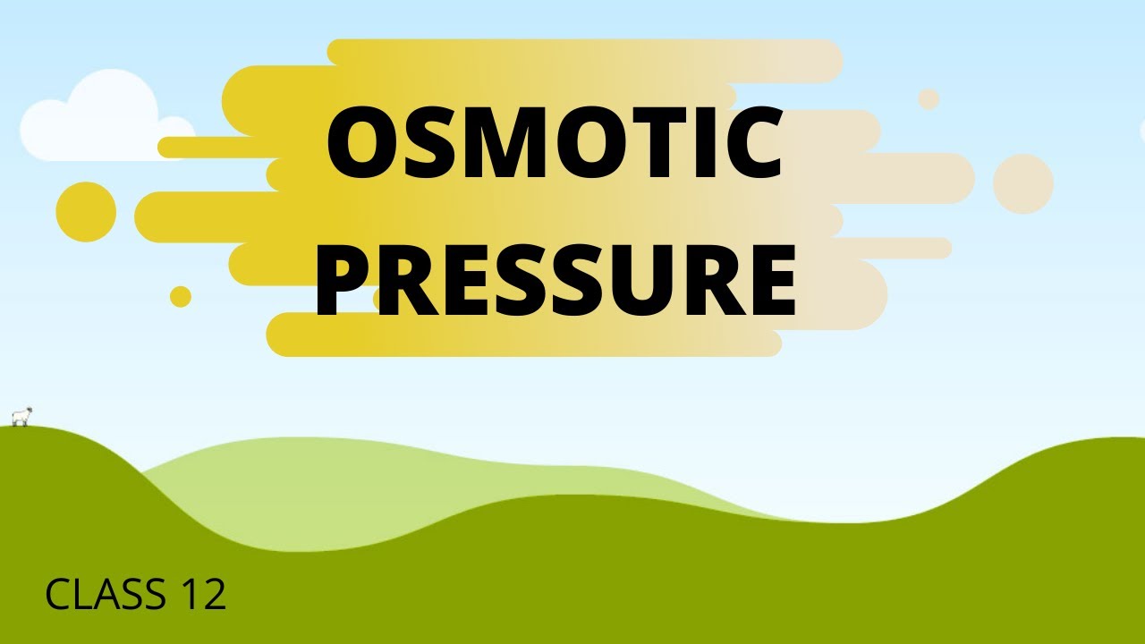 CHEMISTRY CLASS 12 SOLUTION PART 4 OSMOTIC PRESSURE YouTube