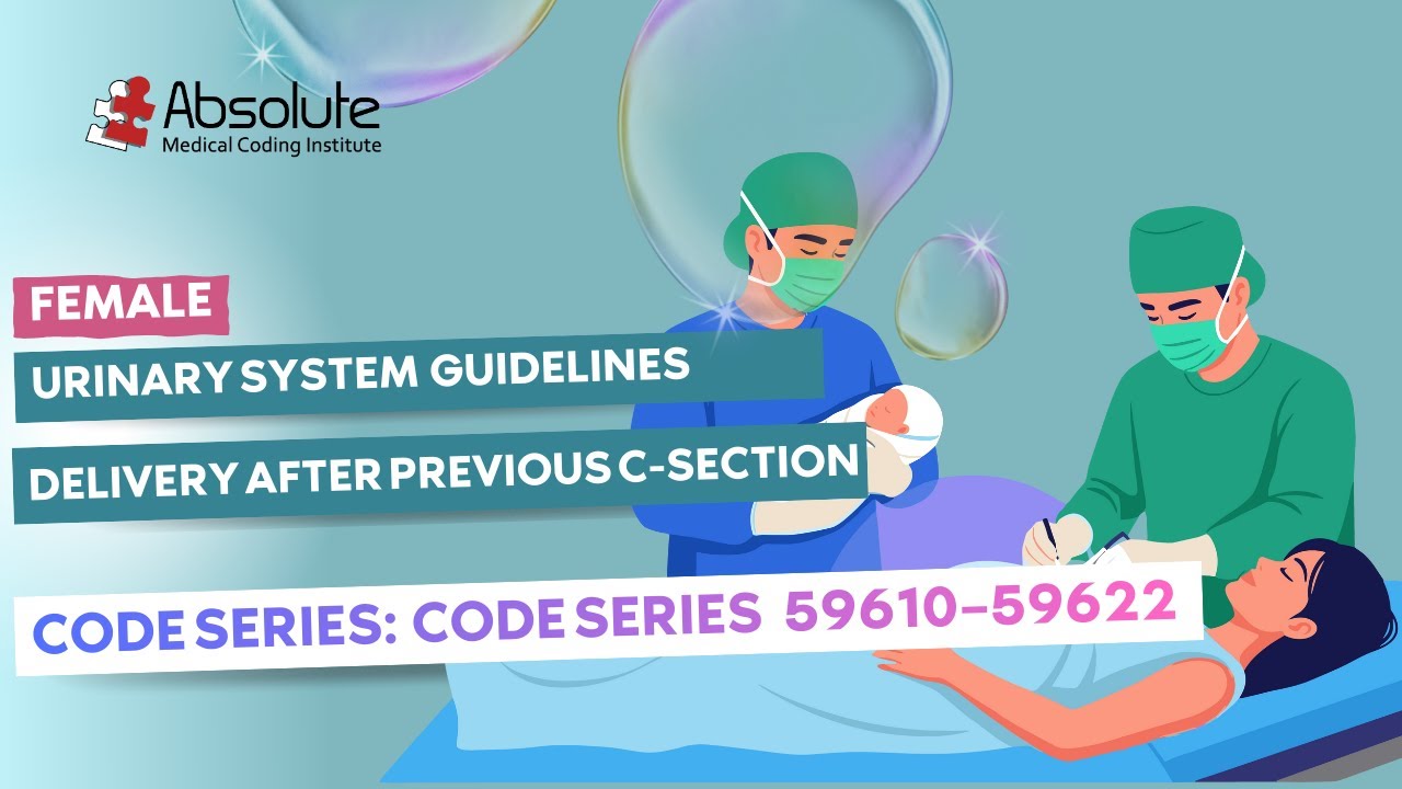 Urinary System (Female) —  Delivery After C-Section Coding (Guidelines) [Code Series: 59610–59622]