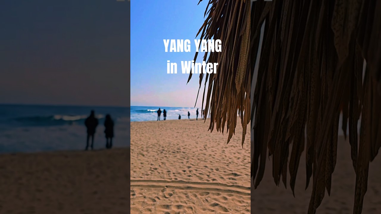 Когда в корейской столице серфинга -6°C 