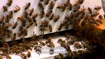 Cubelets: Small Robots Teach Big Science Lessons (Accessible Preview)