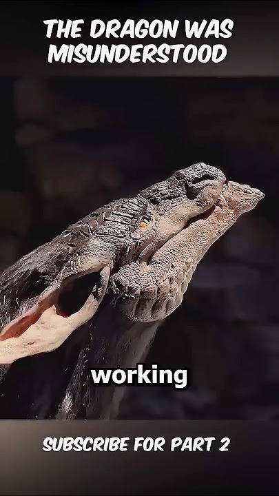 The Dragon Was Misunderstood... 🐉 #shorts #viral