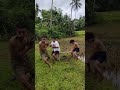 Bilis mang snatch!#top #foryou #shortvideo #comedy #funnyvideo #vairal