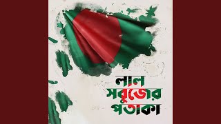লাল সবুজের পতাকা