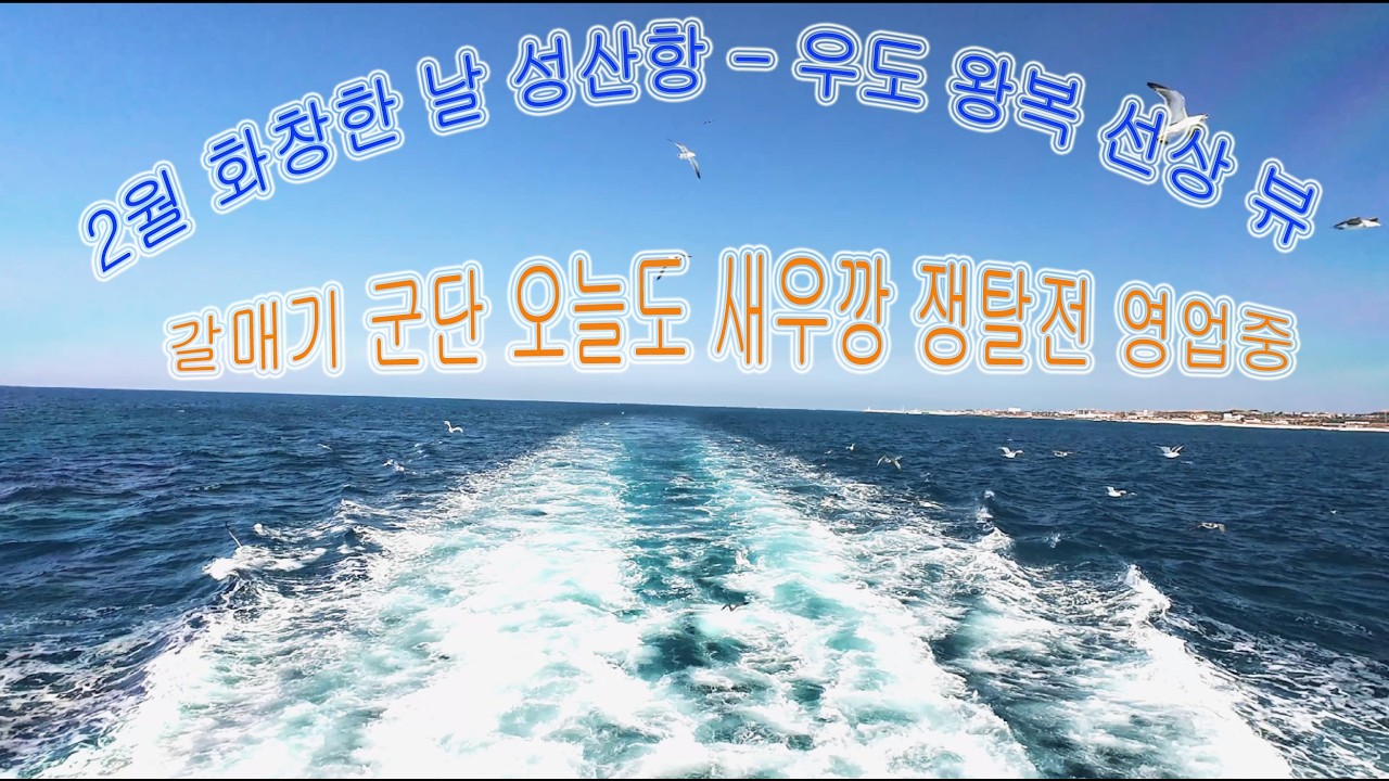 2월 화창한 날 성산포 -  우도 왕복 여정(A round trip journey from Seongsan Port to U-do Island).