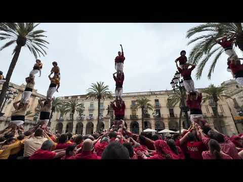 Castellers de Barcelona: Pilar de 5 - Diada de Sant Jordi a Vilanova i la Geltrú 2024