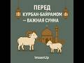 Курбан Байрам #топ #ислам #религия #вера #мусульмане #мусульманка #хочуврек #знания #рек