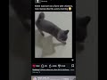damn