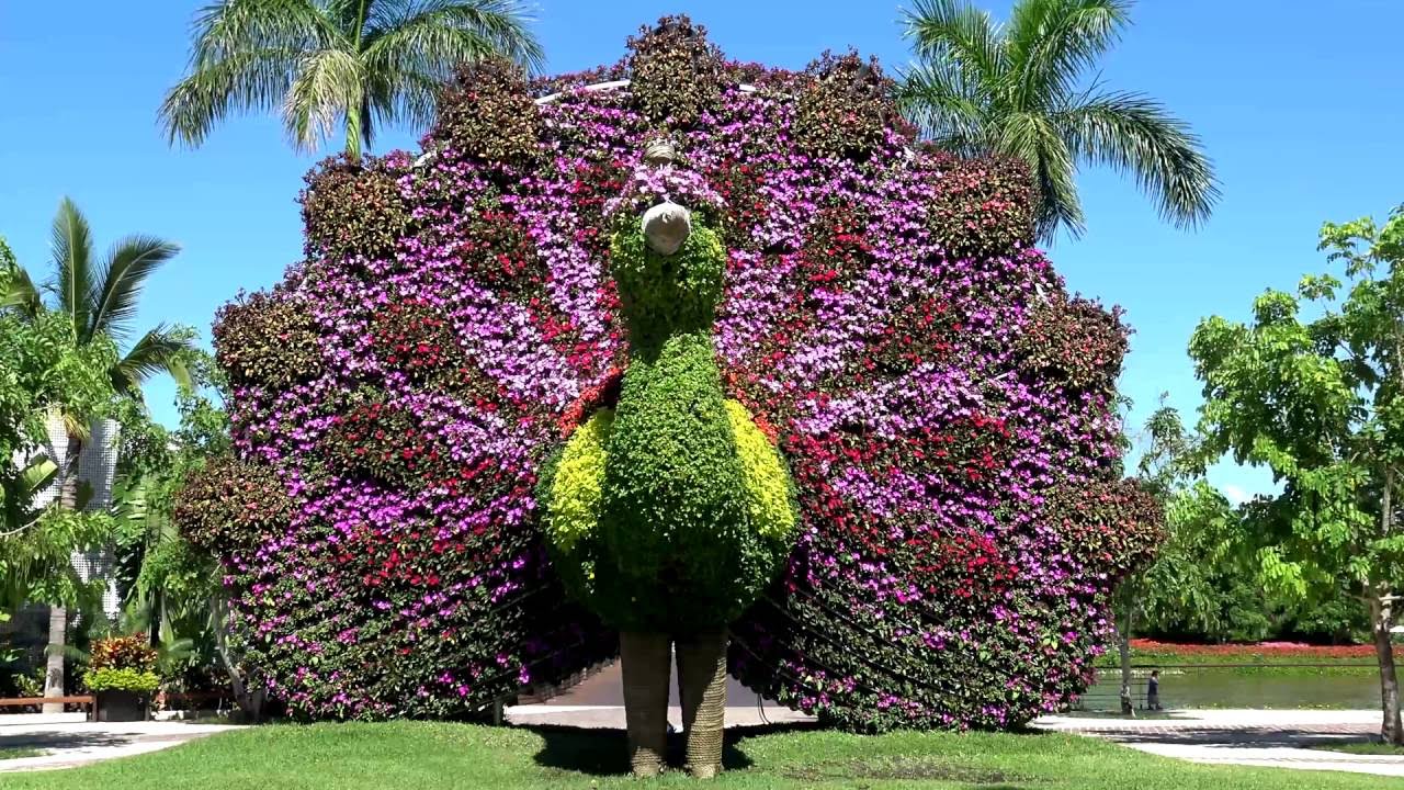 Jardin De Las Flores Cuernavaca