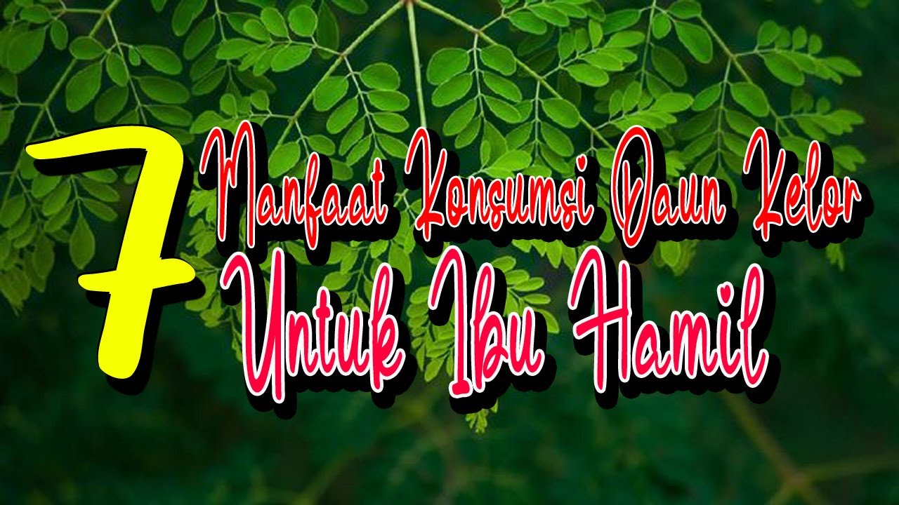 7 Manfaat Konsumsi Daun Kelor untuk Ibu Hamil 